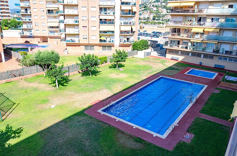 Guest house 1433603 - Apartment Barcalona / Costa Maresme - Appartement Colom