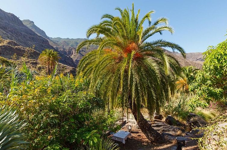 Vakantiehuis in El Risco mit Garten, Terrasse und Grill