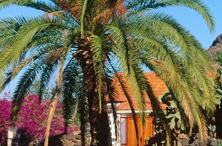 Vakantiehuis in El Risco mit Garten, Terrasse und Grill