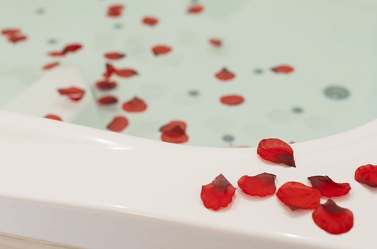 Appartement Deluxe Altemar