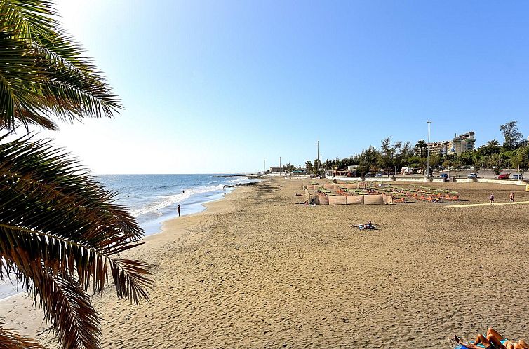 Appartement Studio Nueva Suecia CR715