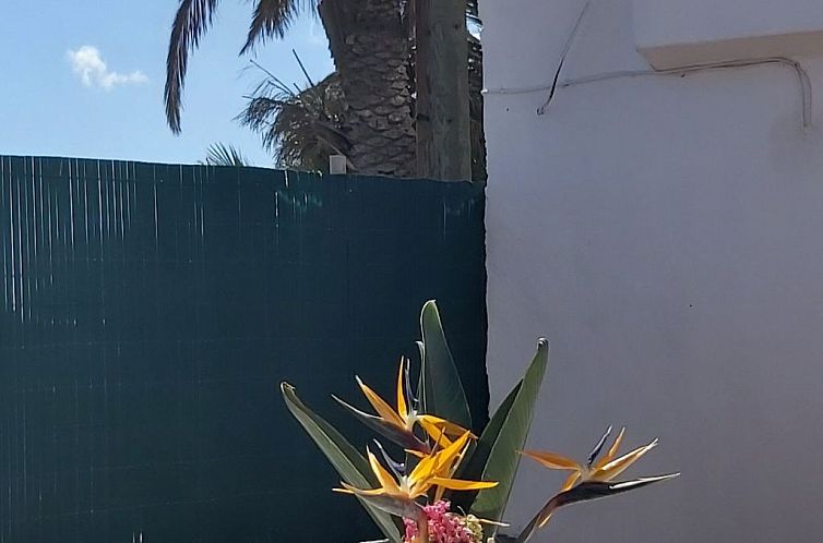 Vakantiehuis Finca Villa Clara 4
