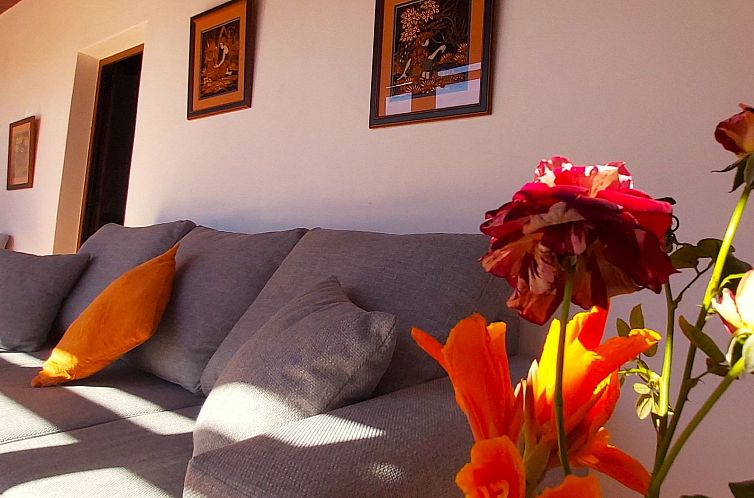 Vakantiehuis Finca Villa Clara 4