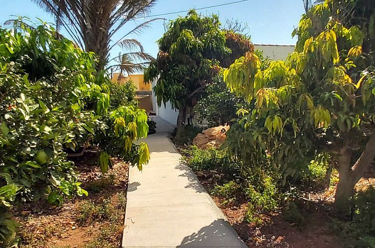 Vakantiehuis Finca Villa Clara 4