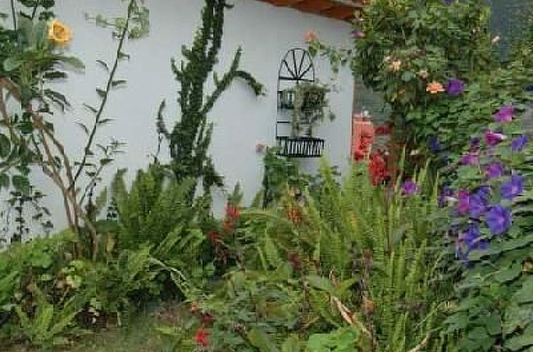 Appartement Casa Claudia in Hanglage mit Meerblick