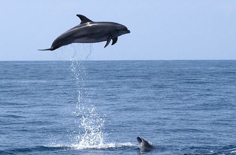 Vakantiehuis Historische Strandvilla