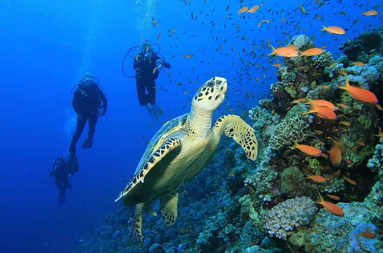 Vakantiehuis Historische Strandvilla