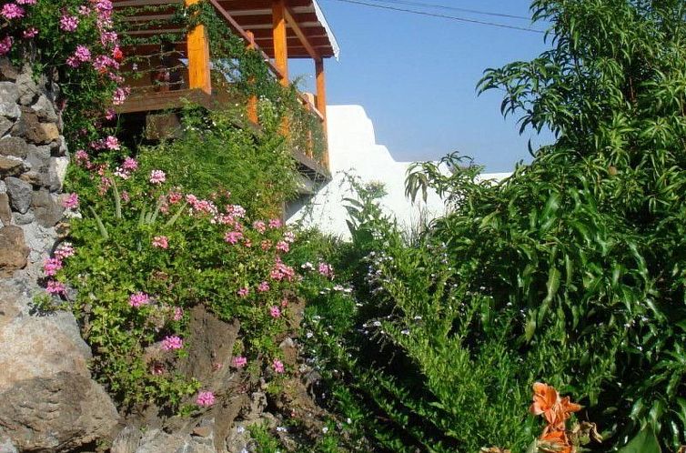 Appartement Casa Flores Alcala