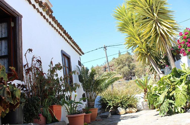 Casitas La Montañita