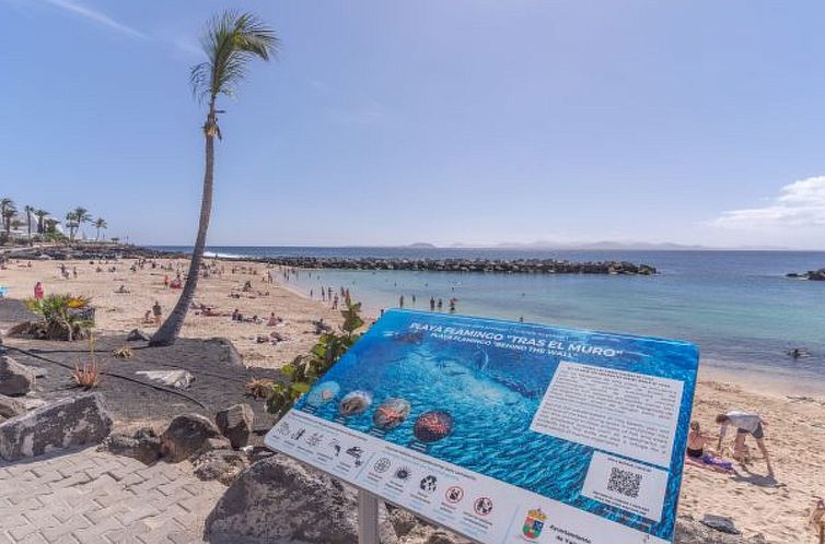 Appartement PLAYA FLAMINGO C