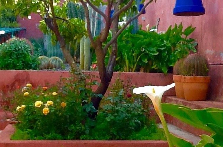 Vakantiehuis Finca mit Garten, Grill und Terrasse