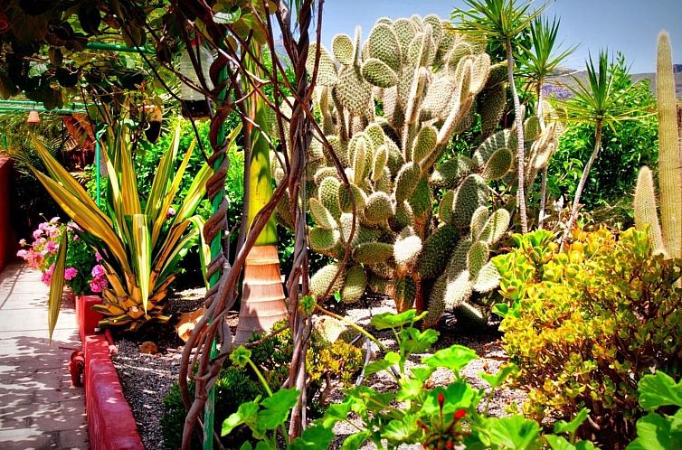 Vakantiehuis Finca mit Garten, Grill und Terrasse