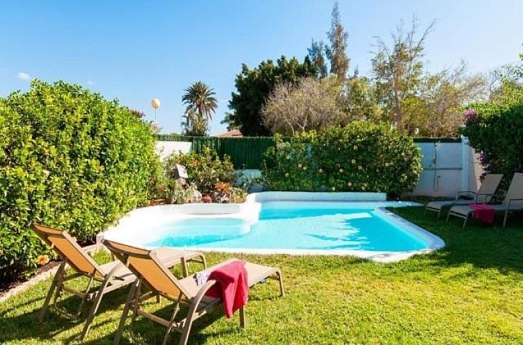 Geniet van de zonnige tuin en zwembad bij Villa Maria Campo, een vakantiehuis op de Canarische Eilanden.