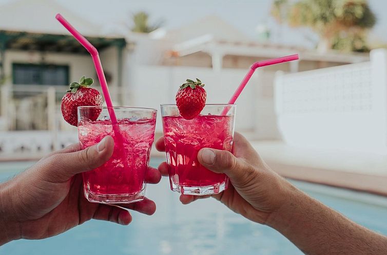 Vakantiehuis Holanda Tropic Deluxe