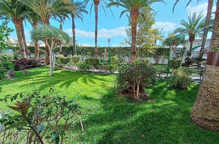 Appartement "Surycan 133" mit Terrasse