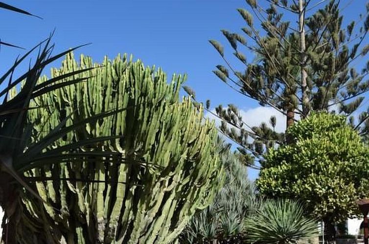 Appartement für 4 Personen ca. 40 m&sup2; in Maspalomas, Gr