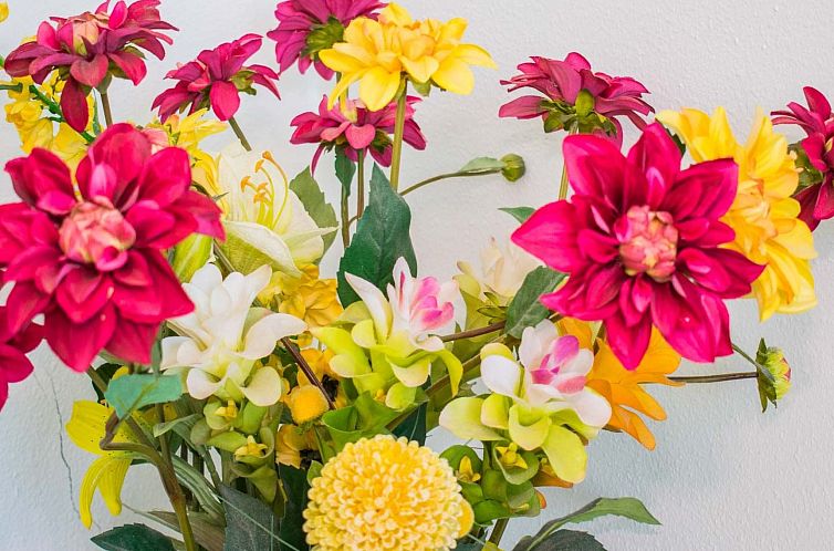 Appartement Wohnung mit botanischem Garten und Meerblick