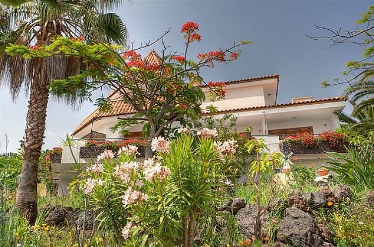 Stay at Apartments Isla Verde, Chayofa, Spain, with beautiful gardens and exotic plants.