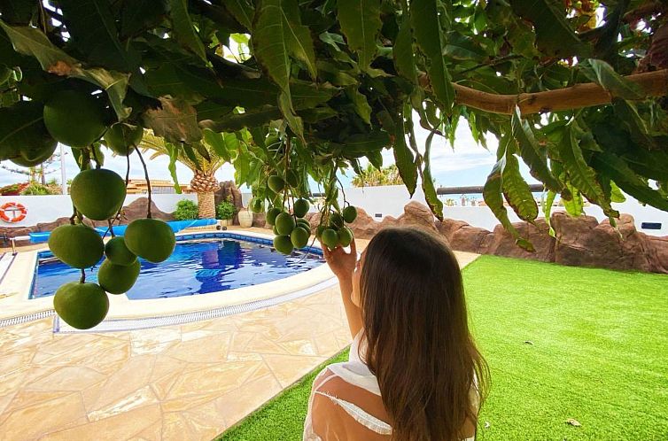 Vakantiehuis Chalet "Anais luxury villas"