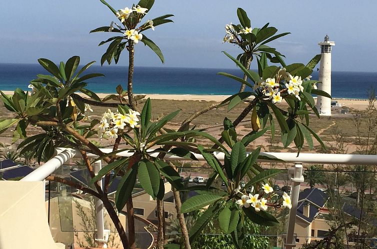 Appartement Luxuriöse Ferienwohnung mit Sonnenterrasse