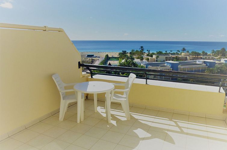 Appartement Wohnungen Palm Garden