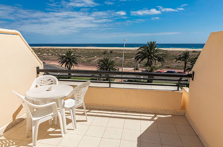 Appartement Wohnungen Palm Garden