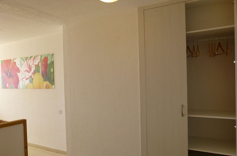 Appartement Wohnungen Palm Garden