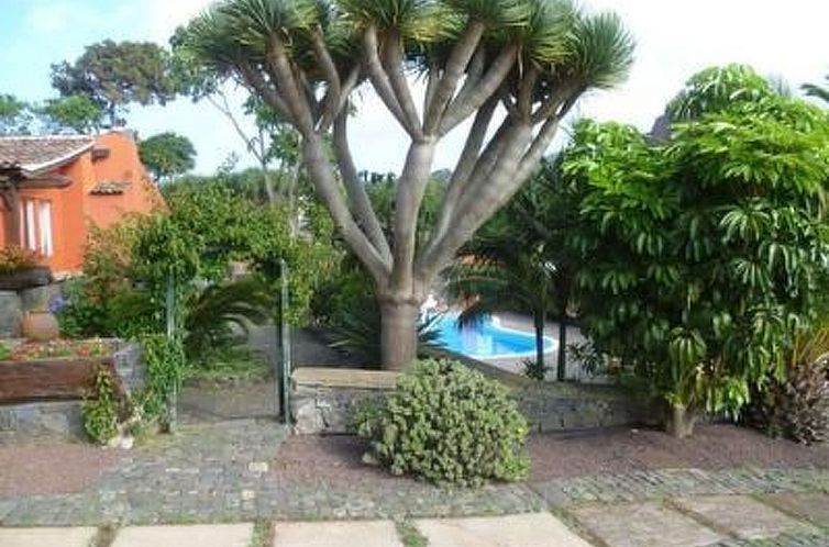 Vakantiehuis Finca Los Vinedos