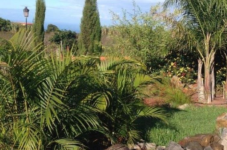 Vakantiehuis Finca Los Vinedos