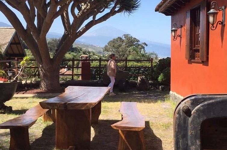 Vakantiehuis Finca Los Vinedos