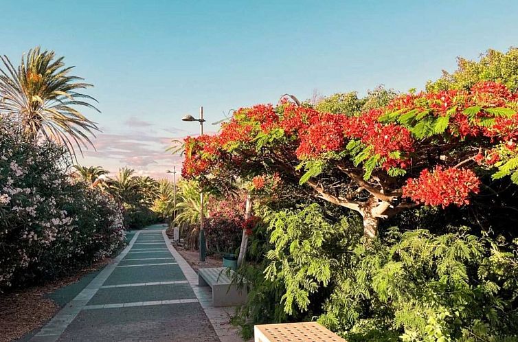 Vakantiehuis Casa Del Sol Rio