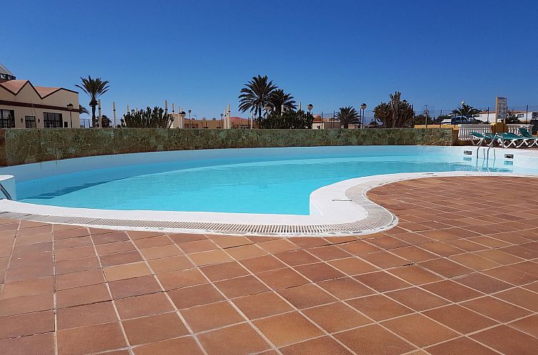 Appartement Wohnung "Costa Calma" mit gemeinschaftlichem Poo