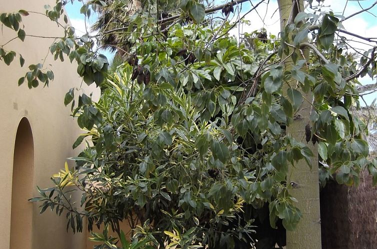 Vakantiehuis Ferienvilla Marvida