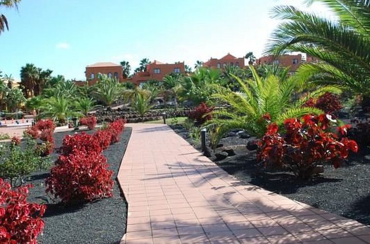 Appartement Appartement 'Oasis Royal 3 piscinas'