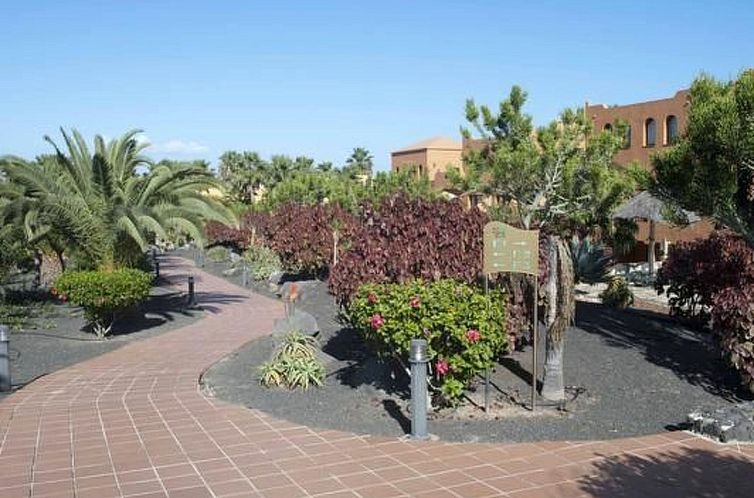 Appartement Wohnung in Oasis Royal 1Schlafzimmer 3 Pools