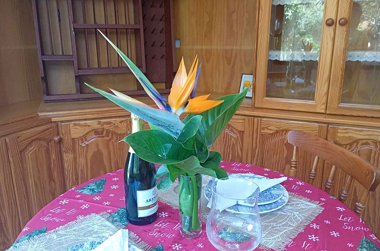 Vakantiehuis "El pajal House Relax"