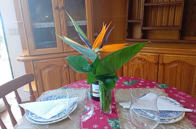 Vakantiehuis "El pajal House Relax"