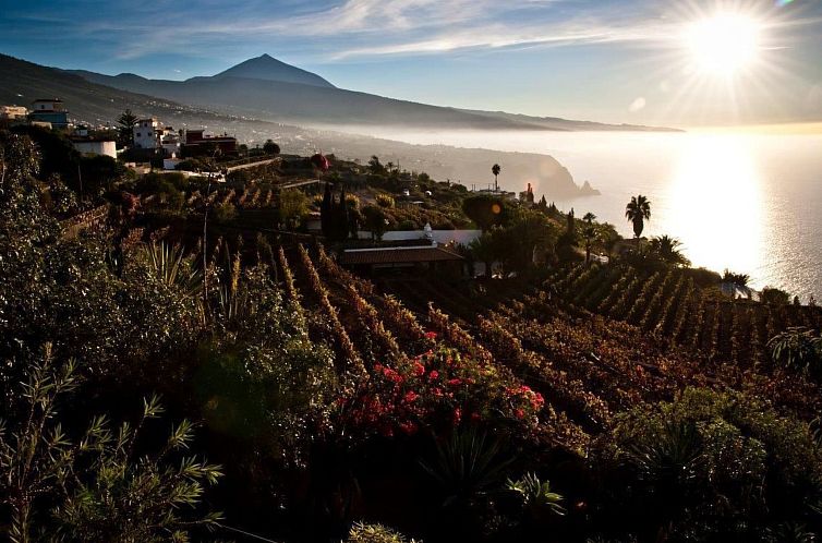 Appartement El Teide