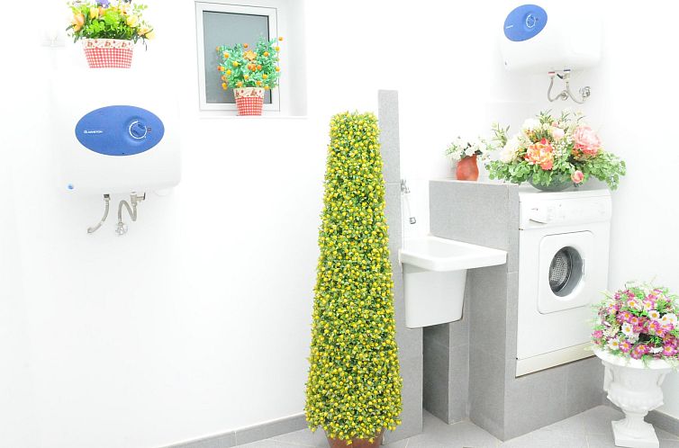 Appartement Geräumige Wohnung