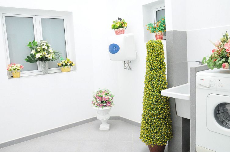Appartement Geräumige Wohnung