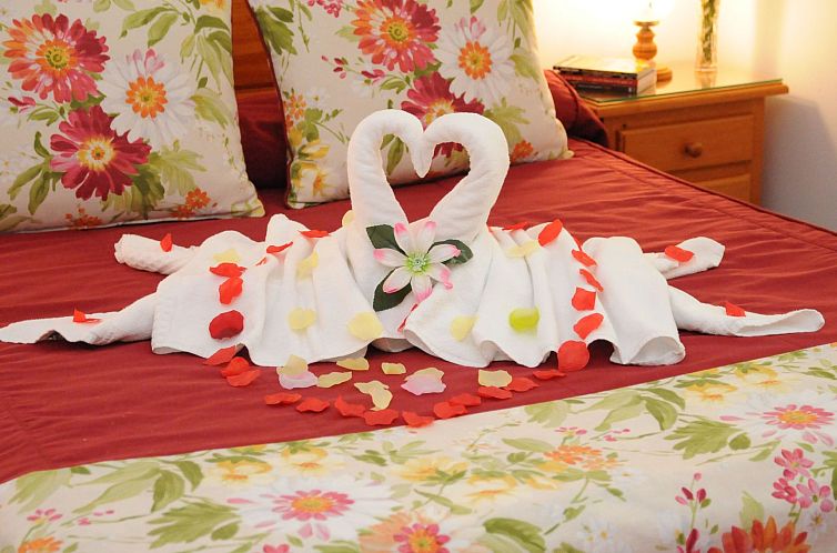 Appartement Komfort-Wohnung