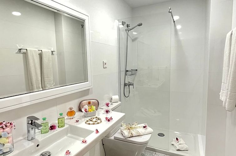 Vakantiehuis 1-Schlafzimmer-Superior-Apartment