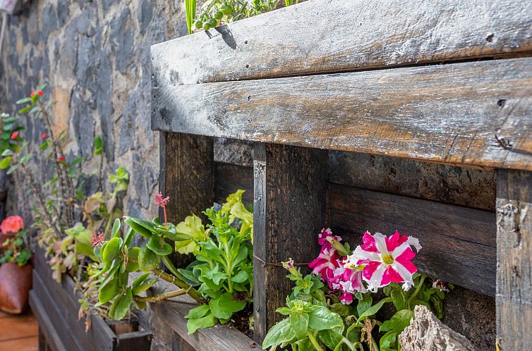 Vakantiehuis La Marea