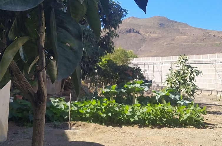 Vakantiehuis Edara Home - Haus mit privatem Garten
