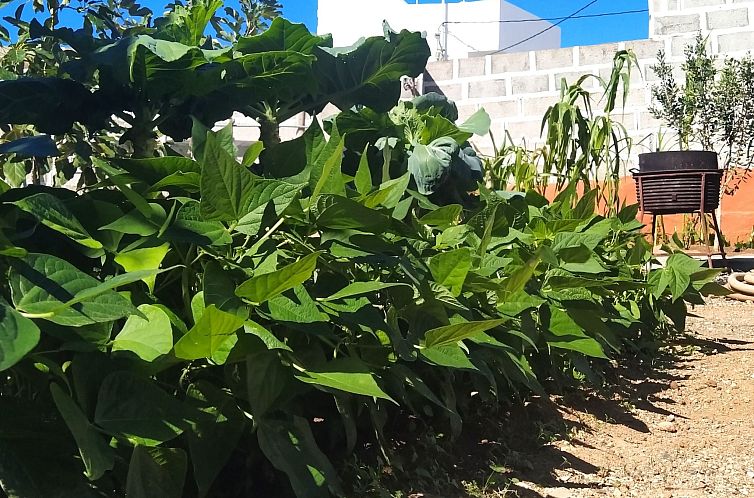 Vakantiehuis Edara Home - Haus mit privatem Garten