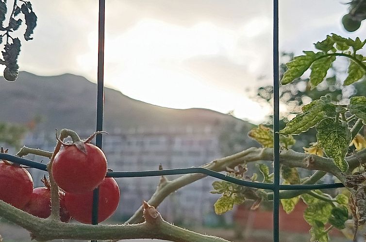 Vakantiehuis Edara Home - Haus mit privatem Garten