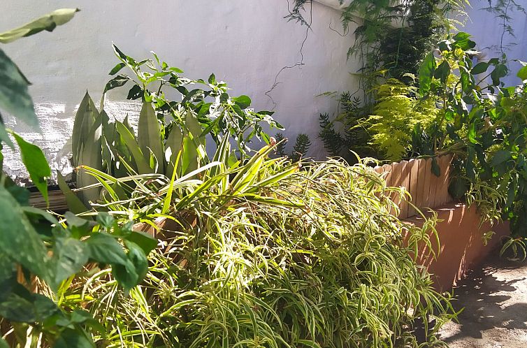 Vakantiehuis Edara Home - Haus mit privatem Garten