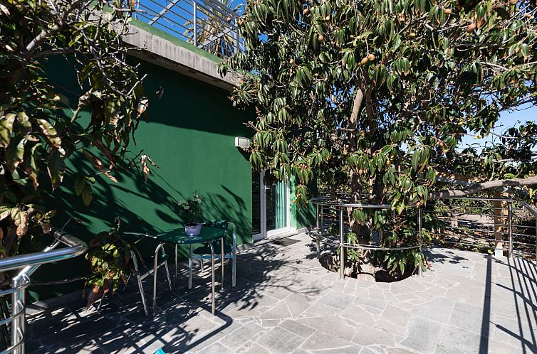 Appartement Urlaub & Gesundheit in FINCA OASIS - VILLA 8