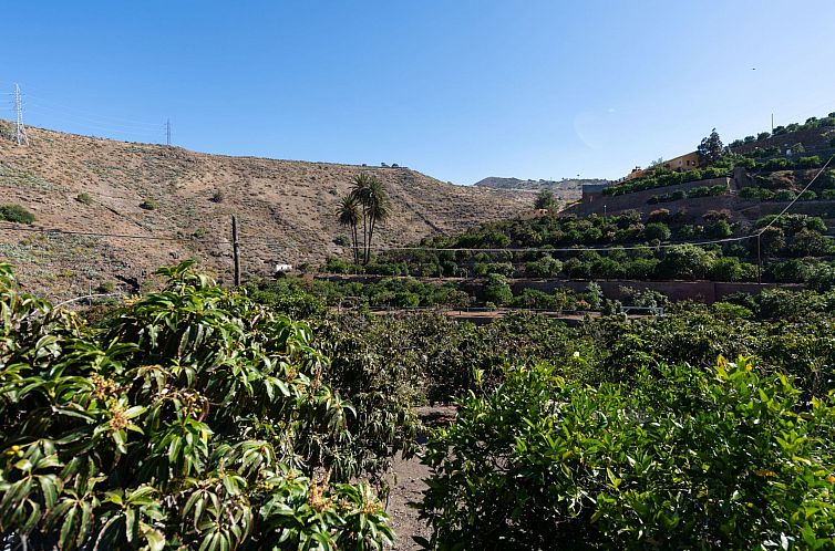 Appartement Urlaub & Gesundheit in FINCA OASIS - VILLA 8