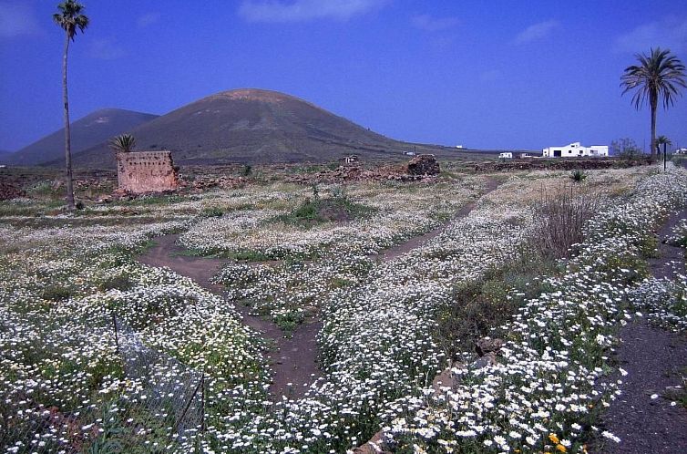 Vakantiehuis Castillo Lanzarote Villa Winni